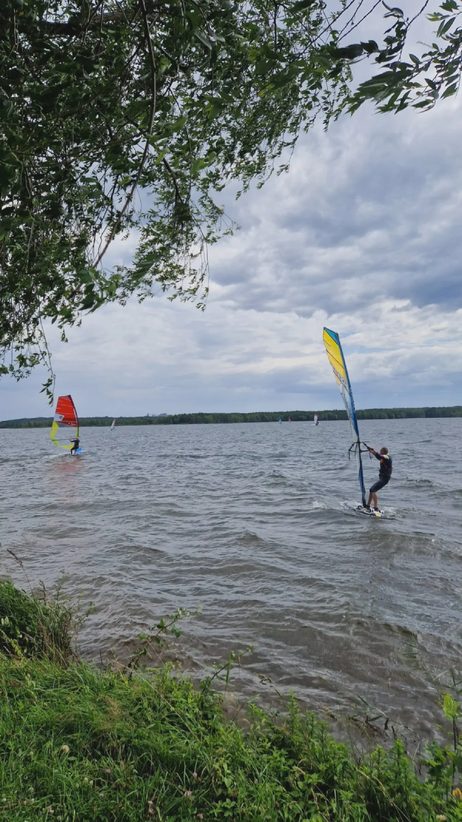 Galeriebild: 2024-06-30_SFB5.webp