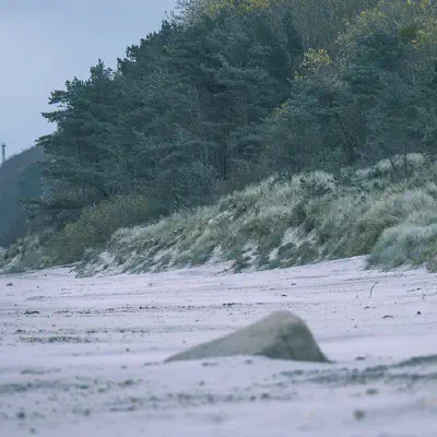 Galeriebild: 2024-11-01_Kreptitz_04.webp