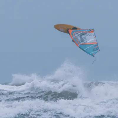 Galeriebild: 2024-11-01_Kreptitz_08.webp