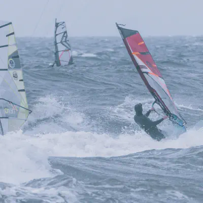 Galeriebild: 2024-11-01_Kreptitz_09.webp