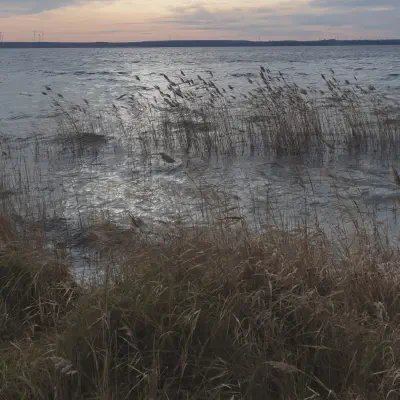 Galeriebild: 2025-01-01_Partwitzer_Donath.webp