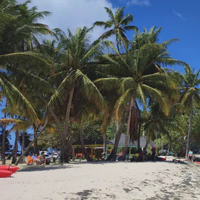 Galeriebild: 2025-03-12_tobago.webp