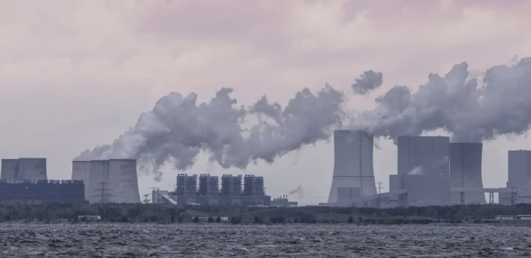 Galeriebild: bärwalder_02.webp