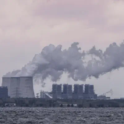 Galeriebild: bärwalder_02.webp