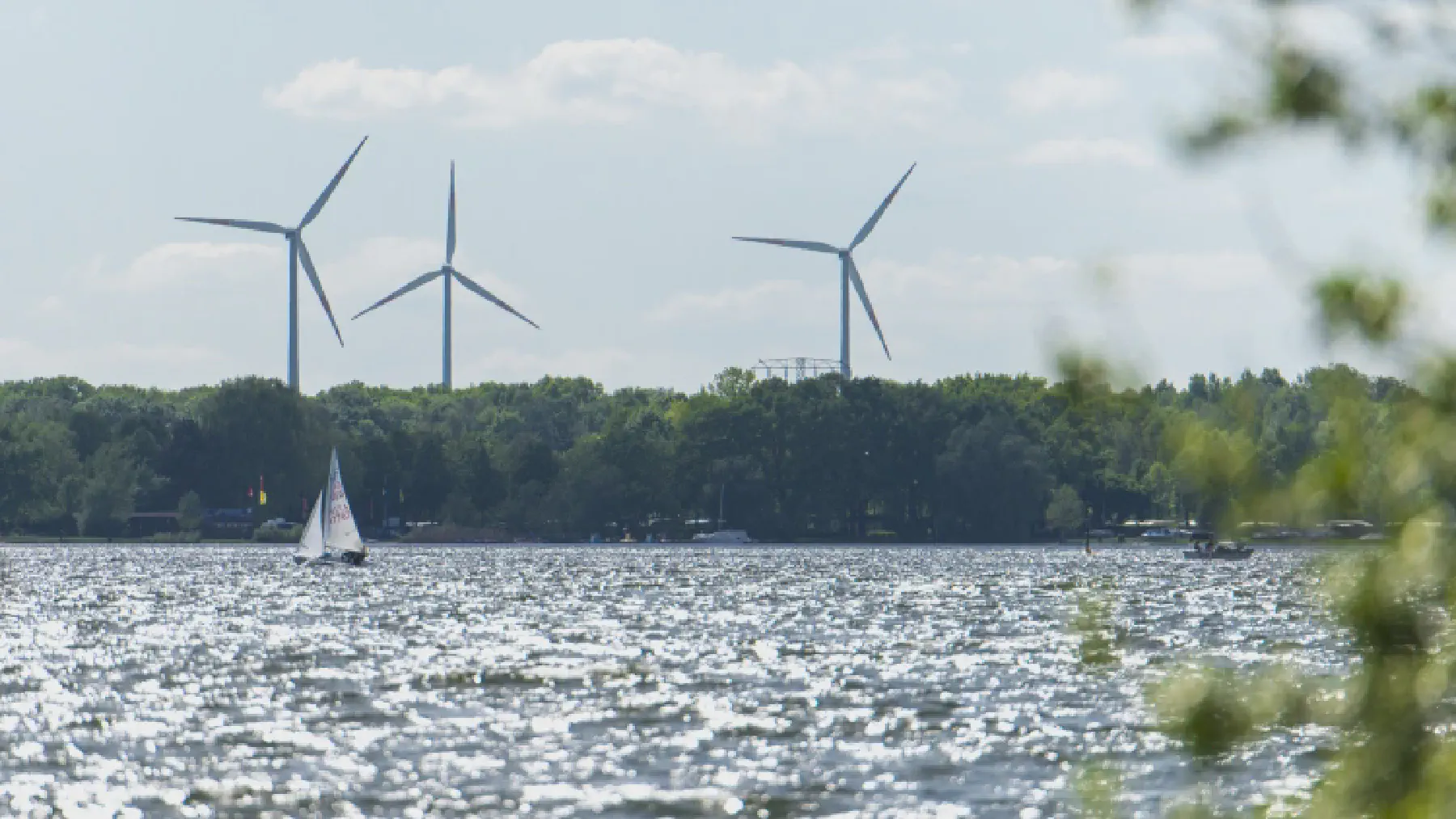 Galeriebild: sfb_04.webp